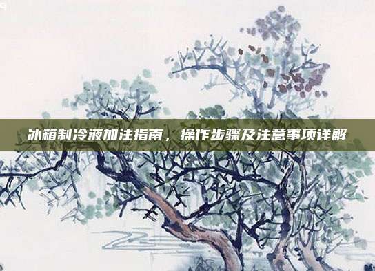 冰箱制冷液加注指南,操作步骤及注意事项详解