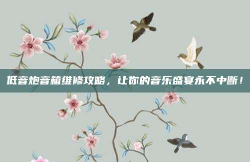 低音炮音箱维修攻略，让你的音乐盛宴永不中断！