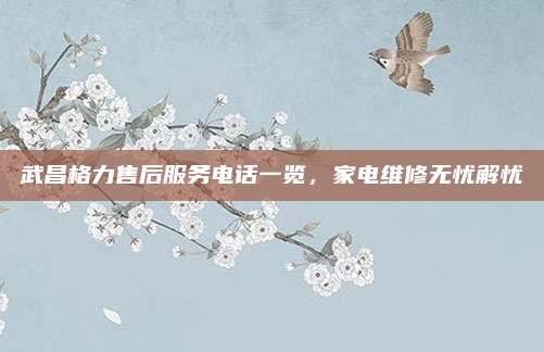 武昌格力售后服务电话一览，家电维修无忧解忧