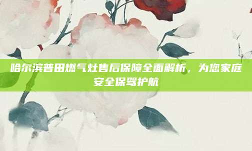 哈尔滨普田燃气灶售后保障全面解析，为您家庭安全保驾护航