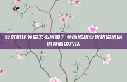 豆浆机往外溢怎么回事?全面解析豆浆机溢出原因及解决方法
