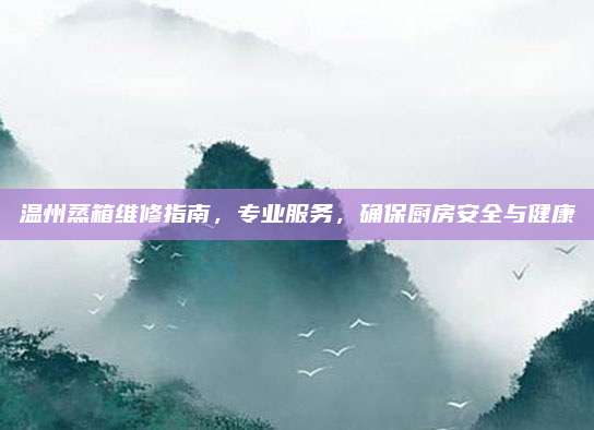 温州蒸箱维修指南,专业服务,确保厨房安全与健康