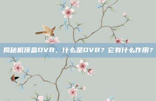 揭秘机顶盒DVB,什么是DVB?它有什么作用?