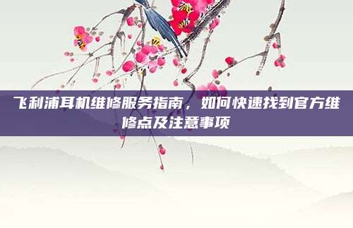 飞利浦耳机维修服务指南,如何快速找到官方维修点及注意事项