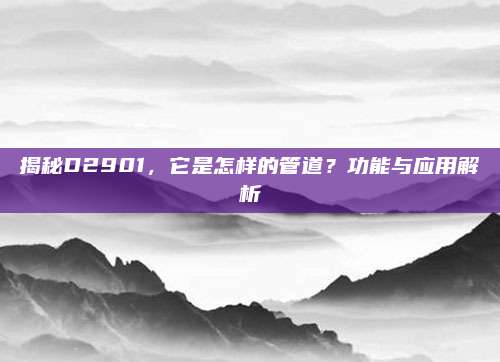 揭秘D2901，它是怎样的管道？功能与应用解析