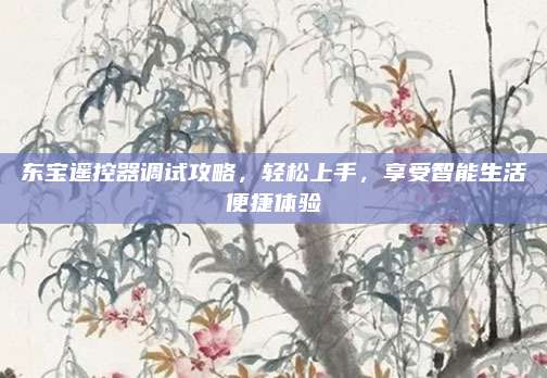 东宝遥控器调试攻略,轻松上手,享受智能生活便捷体验