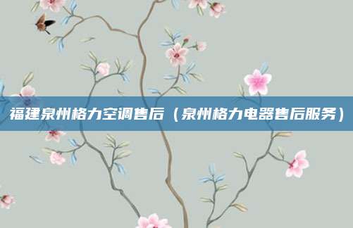 福建泉州格力空调售后(泉州格力电器售后服务)