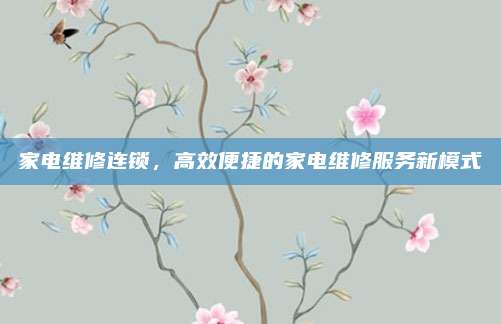 家电维修连锁，高效便捷的家电维修服务新模式