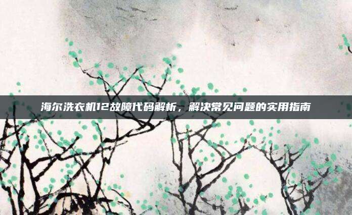 海尔洗衣机12故障代码解析，解决常见问题的实用指南