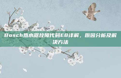 Bosch热水器故障代码E8详解，原因分析及解决方法