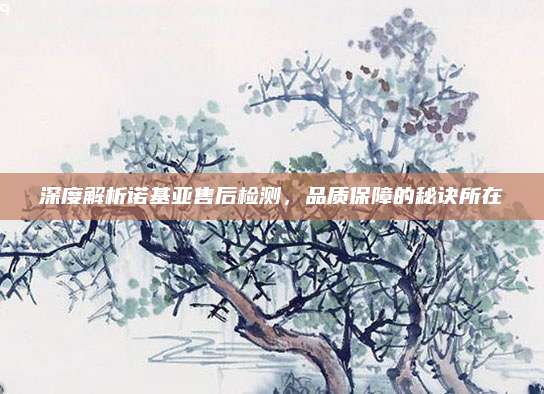 深度解析诺基亚售后检测，品质保障的秘诀所在