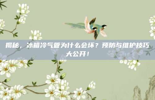 揭秘,冰箱冷气管为什么会坏?预防与维护技巧大公开!