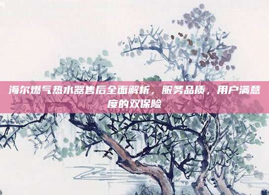 海尔燃气热水器售后全面解析,服务品质,用户满意度的双保险