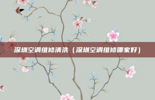 深圳空调维修清洗（深圳空调维修哪家好）