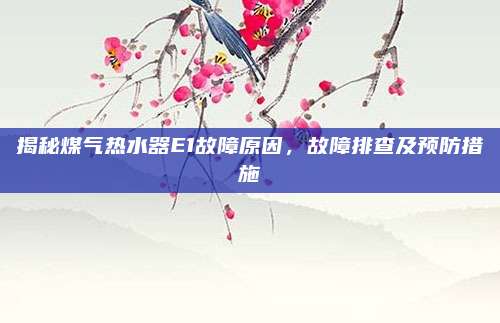 揭秘煤气热水器E1故障原因，故障排查及预防措施
