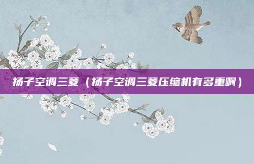 扬子空调三菱（扬子空调三菱压缩机有多重啊）