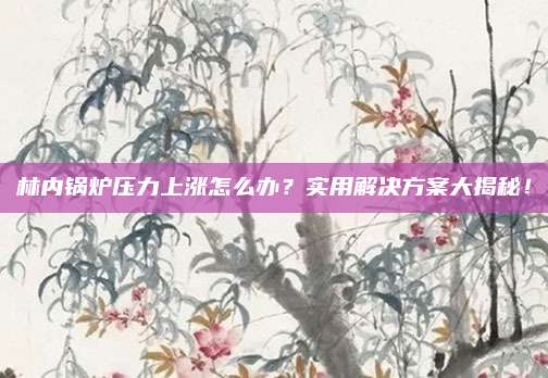 林内锅炉压力上涨怎么办?实用解决方案大揭秘!