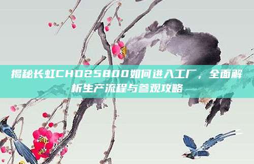 揭秘长虹CHD25800如何进入工厂，全面解析生产流程与参观攻略