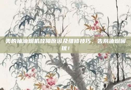 美的抽油烟机故障原因及维修技巧,告别油烟困扰!
