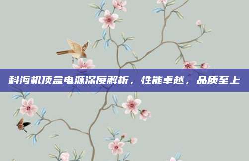 科海机顶盒电源深度解析,性能卓越,品质至上