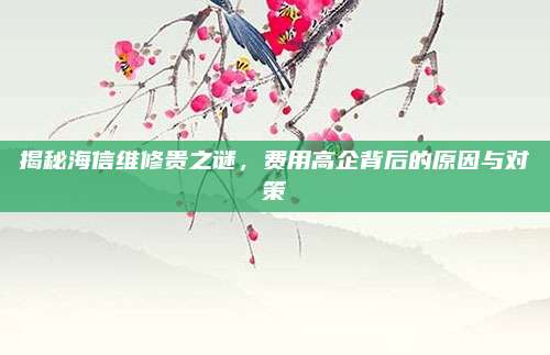 揭秘海信维修贵之谜，费用高企背后的原因与对策
