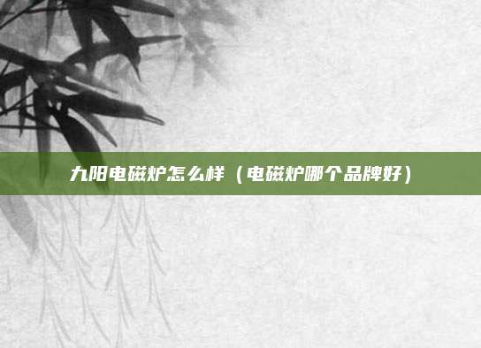 九阳电磁炉怎么样(电磁炉哪个品牌好)