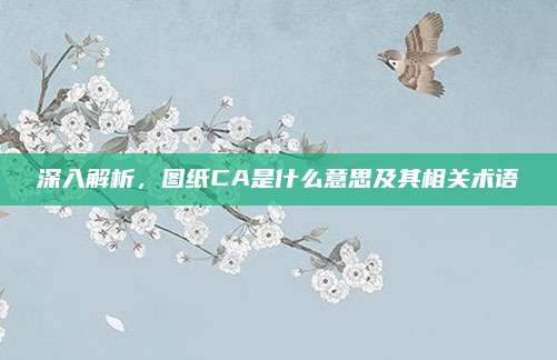 深入解析，图纸CA是什么意思及其相关术语