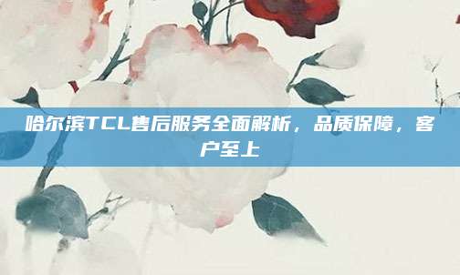 哈尔滨TCL售后服务全面解析,品质保障,客户至上