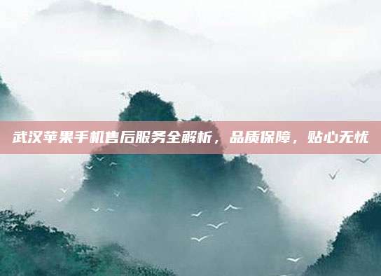 武汉苹果手机售后服务全解析，品质保障，贴心无忧