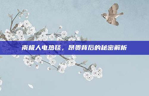 南极人电热毯，昂贵背后的秘密解析