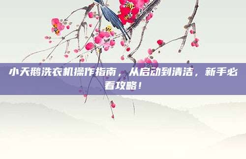 小天鹅洗衣机操作指南,从启动到清洁,新手必看攻略!