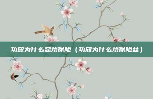 功放为什么总烧保险(功放为什么烧保险丝)