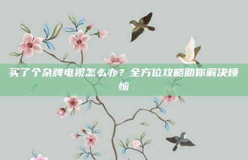 买了个杂牌电视怎么办？全方位攻略助你解决烦恼