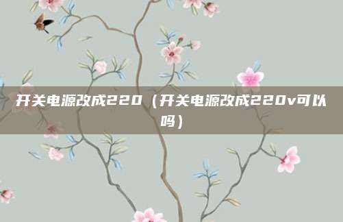 开关电源改成220(开关电源改成220v可以吗)