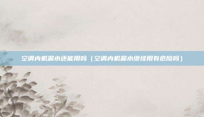 空调内机漏水还能用吗(空调内机漏水继续用有危险吗)