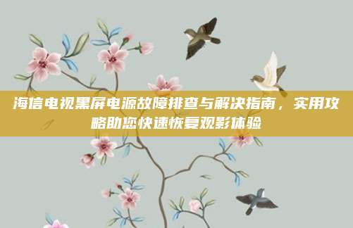 海信电视黑屏电源故障排查与解决指南,实用攻略助您快速恢复观影体验