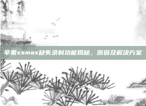 苹果xsmax缺失录制功能揭秘,原因及解决方案