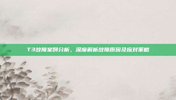 T3故障案例分析,深度解析故障原因及应对策略