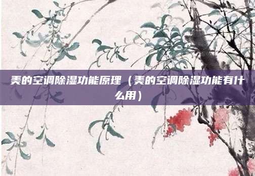 美的空调除湿功能原理(美的空调除湿功能有什么用)