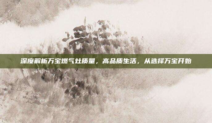 深度解析万宝燃气灶质量,高品质生活,从选择万宝开始