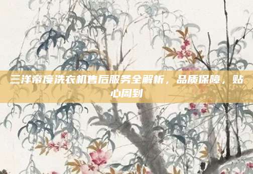 三洋帝度洗衣机售后服务全解析，品质保障，贴心周到
