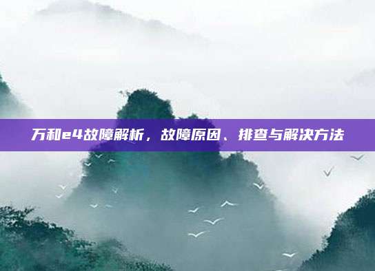 万和e4故障解析,故障原因、排查与解决方法