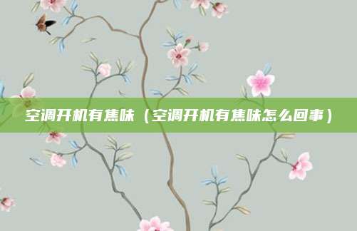 空调开机有焦味(空调开机有焦味怎么回事)
