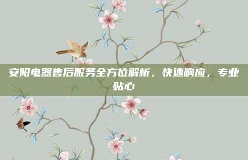 安阳电器售后服务全方位解析，快速响应，专业贴心