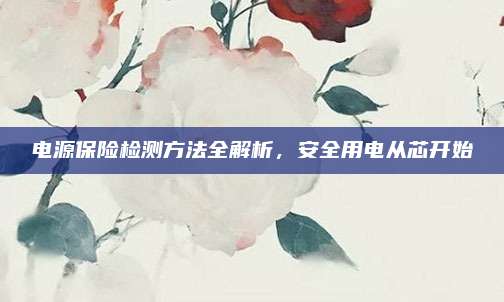 电源保险检测方法全解析，安全用电从芯开始
