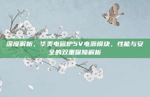 深度解析，华美电磁炉5V电源模块，性能与安全的双重保障解析