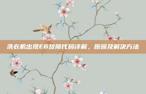 洗衣机出现E6故障代码详解，原因及解决方法