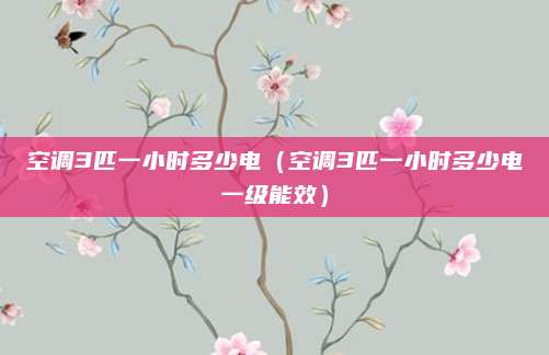 空调3匹一小时多少电(空调3匹一小时多少电一级能效)
