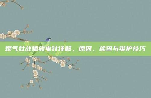 燃气灶故障放电针详解,原因、检查与维护技巧