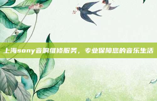 上海sony音响维修服务，专业保障您的音乐生活